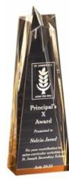 Gold Star Award — 10 inches